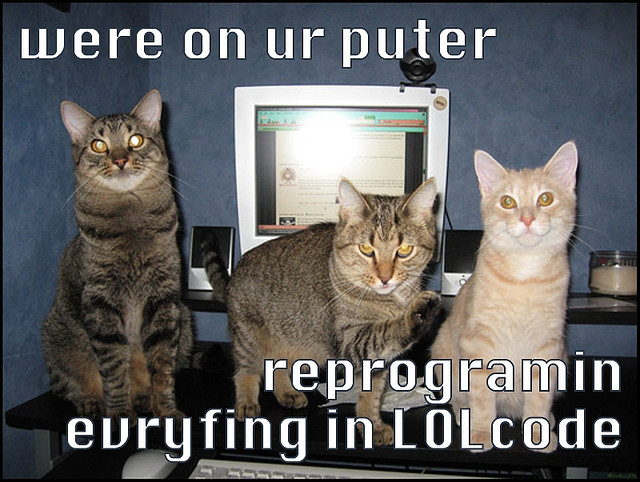 Computer catz